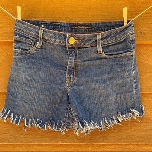 South Pole Cut Off Fringe Distressed Custom